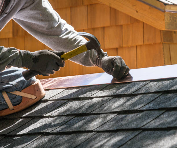 Roof Gutter Cleaning in Cooper, TX